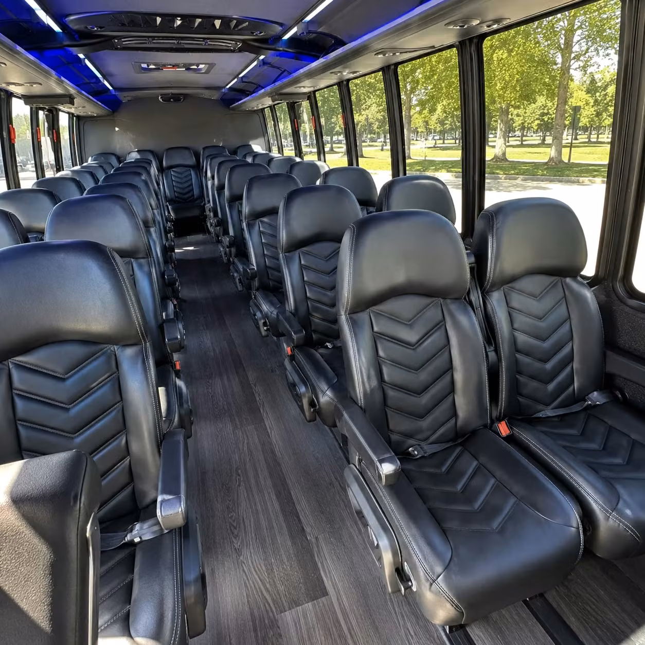 carlsbad 15 passenger minibus rental